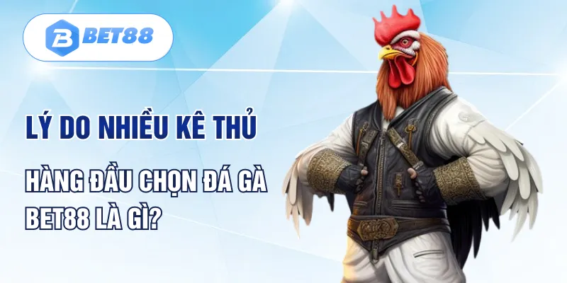 Vì sao mọi người lại ưa chuộng tựa game này