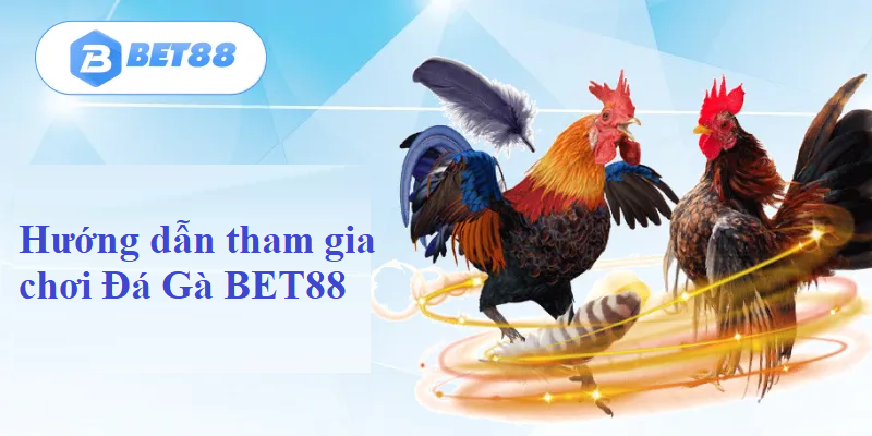 Tham gia chơi Đá Gà BET88 online như thế nào